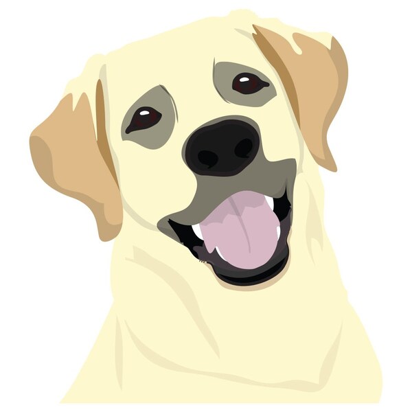 Signmission Chinook Dog Decal, Dog Lover Decor Vinyl Sticker D-12-Chinook - main